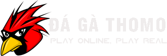 Đá Gà THomo